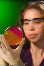 lab technician examining test cample